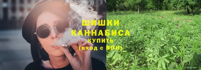 Конопля Ganja  наркота  Болотное 